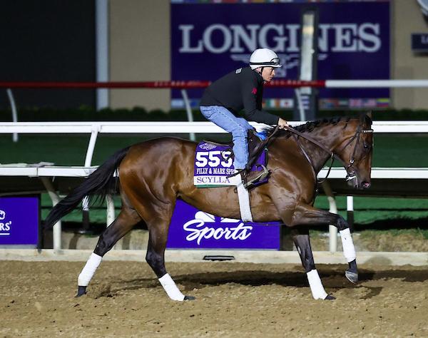 Scylla, Longines Breeders' Cup Distaff, Del Mar, America's Best Racing, horse racing, ABR 
